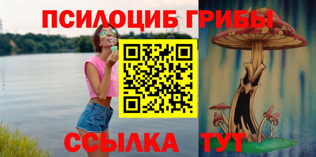 Псилоцибиновые грибы Cubensis Ачхой-Мартан