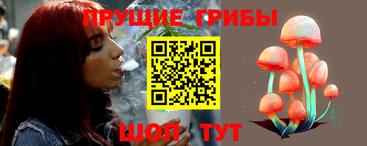 Псилоцибиновые грибы ЛСД  Псилоцибиновые грибы Psilocybine cubensis  Вход с VPN  Ачхой-Мартан 
